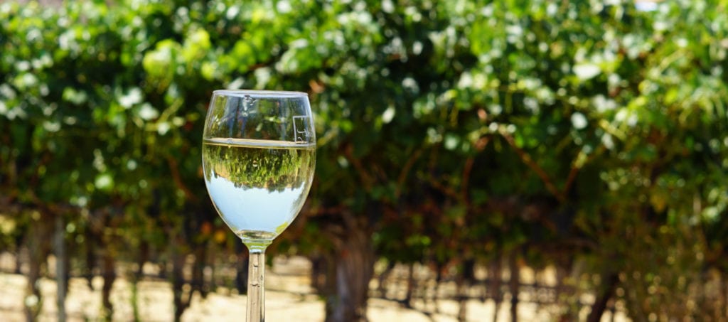 Sauvignon Blanc: De druif en wijn